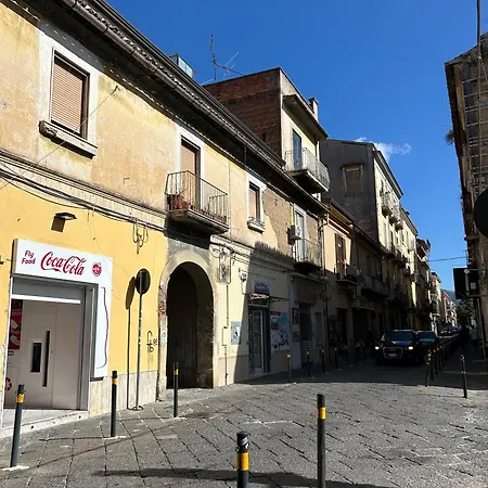 San Carlo 104
